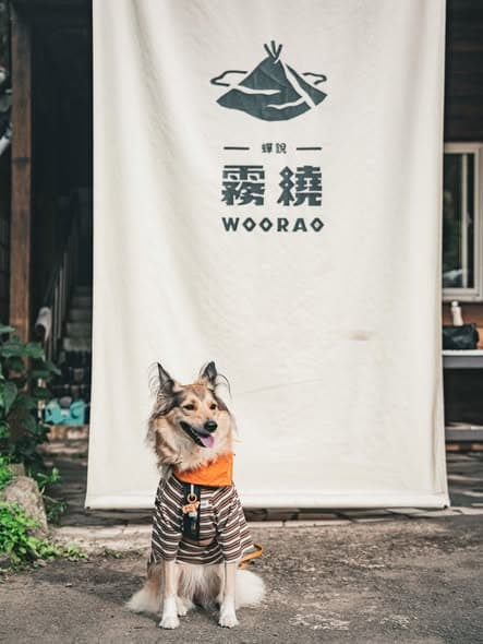 ☞ 內有折扣碼
已經有幾次露營經驗的我們
第一次體驗懶人露營的露營車🚌✨
這